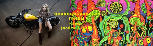 a pvp Арсеньев