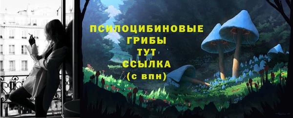 дурь Аркадак