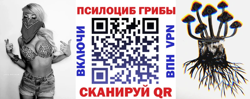 Псилоцибиновые грибы прущие грибы  Красный Кут 